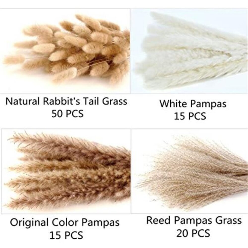 Dried Pampas Grass Decor 100 Stems Pampas Grass Contains Bunny Tails Dried - Picture 5 of 7